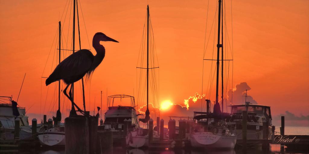 heron-sunrise-2x1-ratio